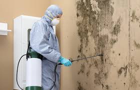 Best Mold Remediation for Healthcare Facilities  in Easton, CA